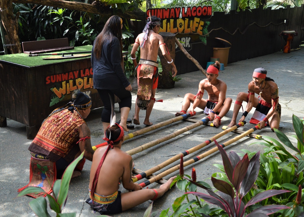 #Scenes: Meet The First White Tiger Cubs At Sunway Lagoon As You Enjoy The Wildlife Park's Walk & Hunt in the Wild Campaign-Pamper.my