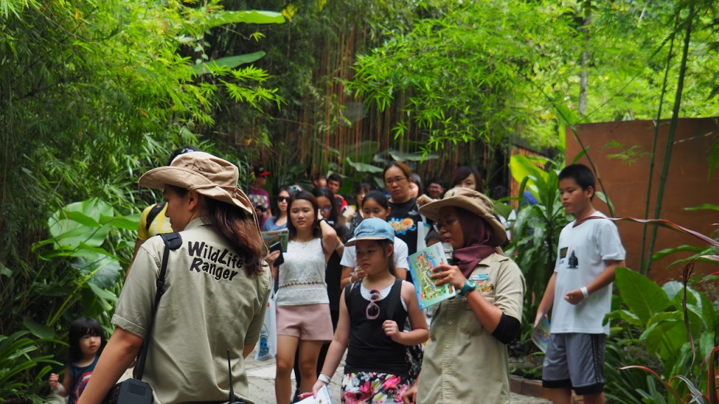 #Scenes: Meet The First White Tiger Cubs At Sunway Lagoon As You Enjoy The Wildlife Park's Walk & Hunt in the Wild Campaign-Pamper.my