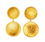 Tranz Gold Earrings-2