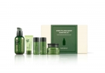 innisfree Green Tea Serum Signature Set