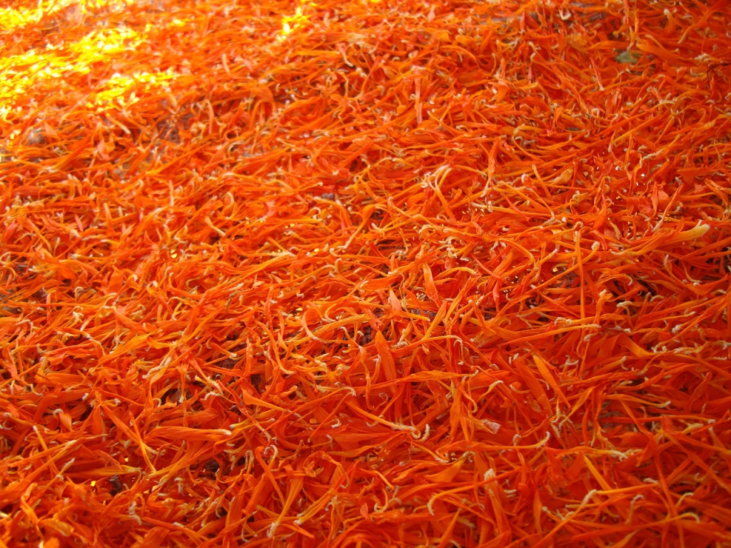 Kiehl's Calendula Flower Petals