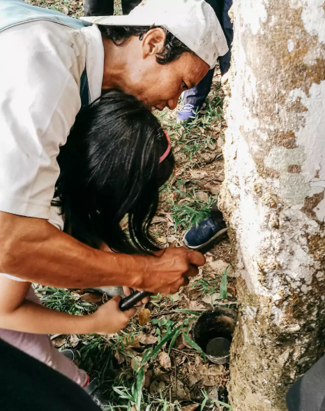 Airbnb_Rubber tapping and Tiffin Lunch