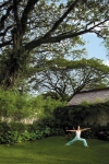 Garden area of CHI, The Spa