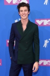 shawn-mendes-2018-mtv-vmas-red-carpet-billboard-1240