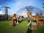 DINOSAUR KINGDOM