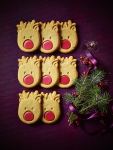 Iced Reindeer Biscuits- 135g