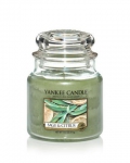 Yankee Candle Sage & Citrus Medium Jar Candle
