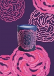 diptyque_Roses_BougieCentifolia_RVB