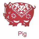 Pig