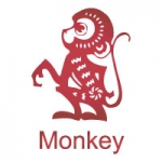 monkey