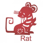 rat