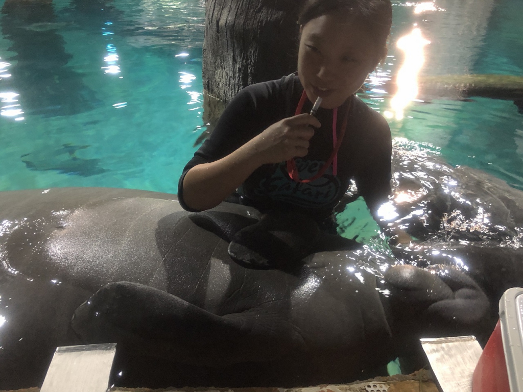 #PamperMyTravels: Feeding Manatees & Other Exciting Things You Could Do At River Safari Singapore