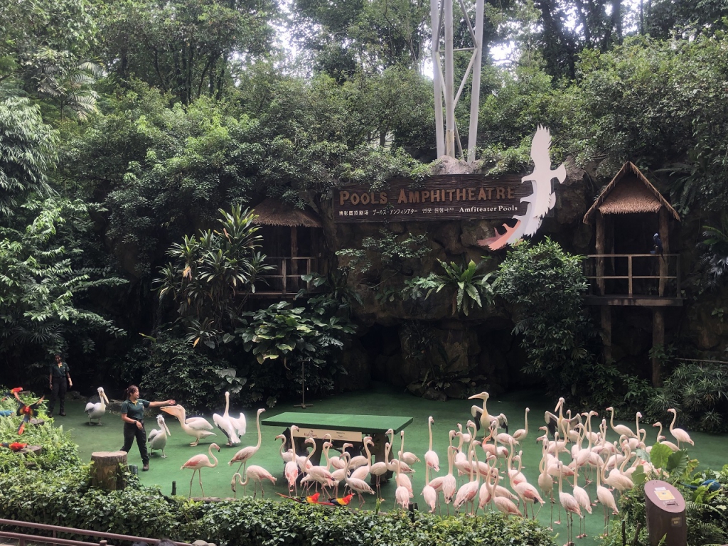 #PamperMyTravels: Prepare To Be Amazed By The Intelligent Birds At Jurong Bird Park