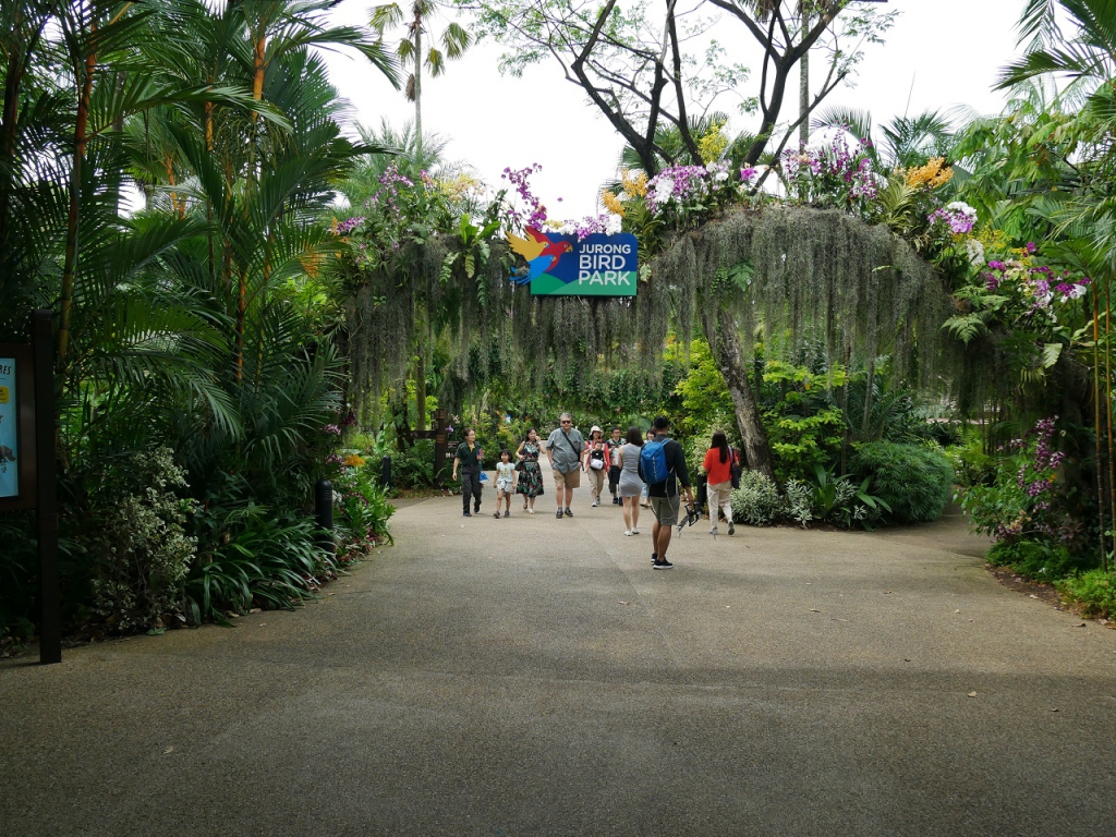 #PamperMyTravels: Prepare To Be Amazed By The Intelligent Birds At Jurong Bird Park