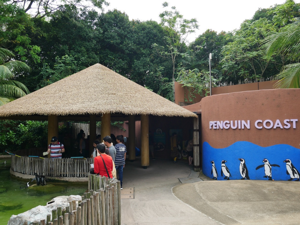 #PamperMyTravels: Prepare To Be Amazed By The Intelligent Birds At Jurong Bird Park