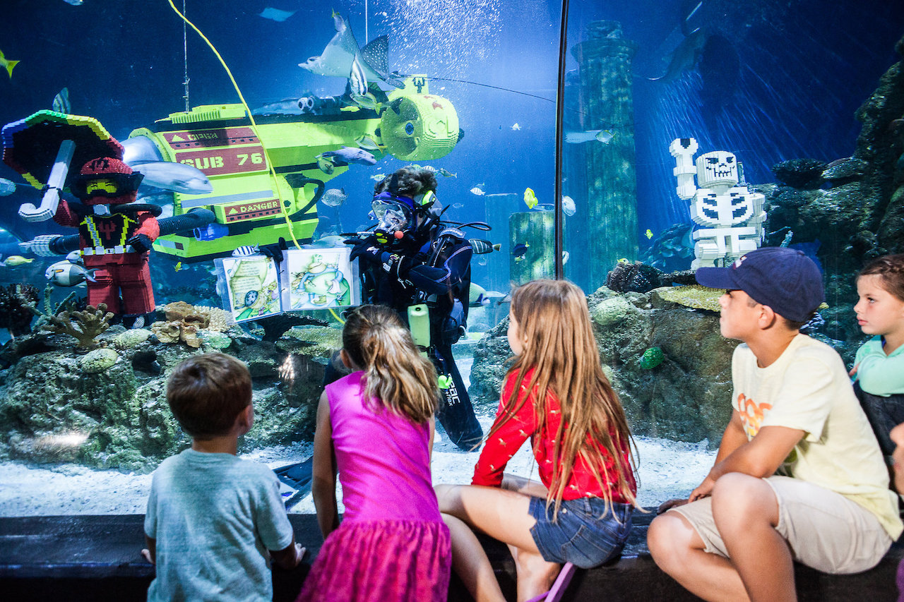 SEA LIFE Malaysia - Aquarium features workshops and activities that are both fun and educational for all guests